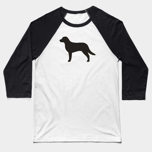 Chesapeake Bay Retriever Silhouette Baseball T-Shirt by Coffee Squirrel